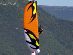  NRG - fly like a wasp sting like a bee